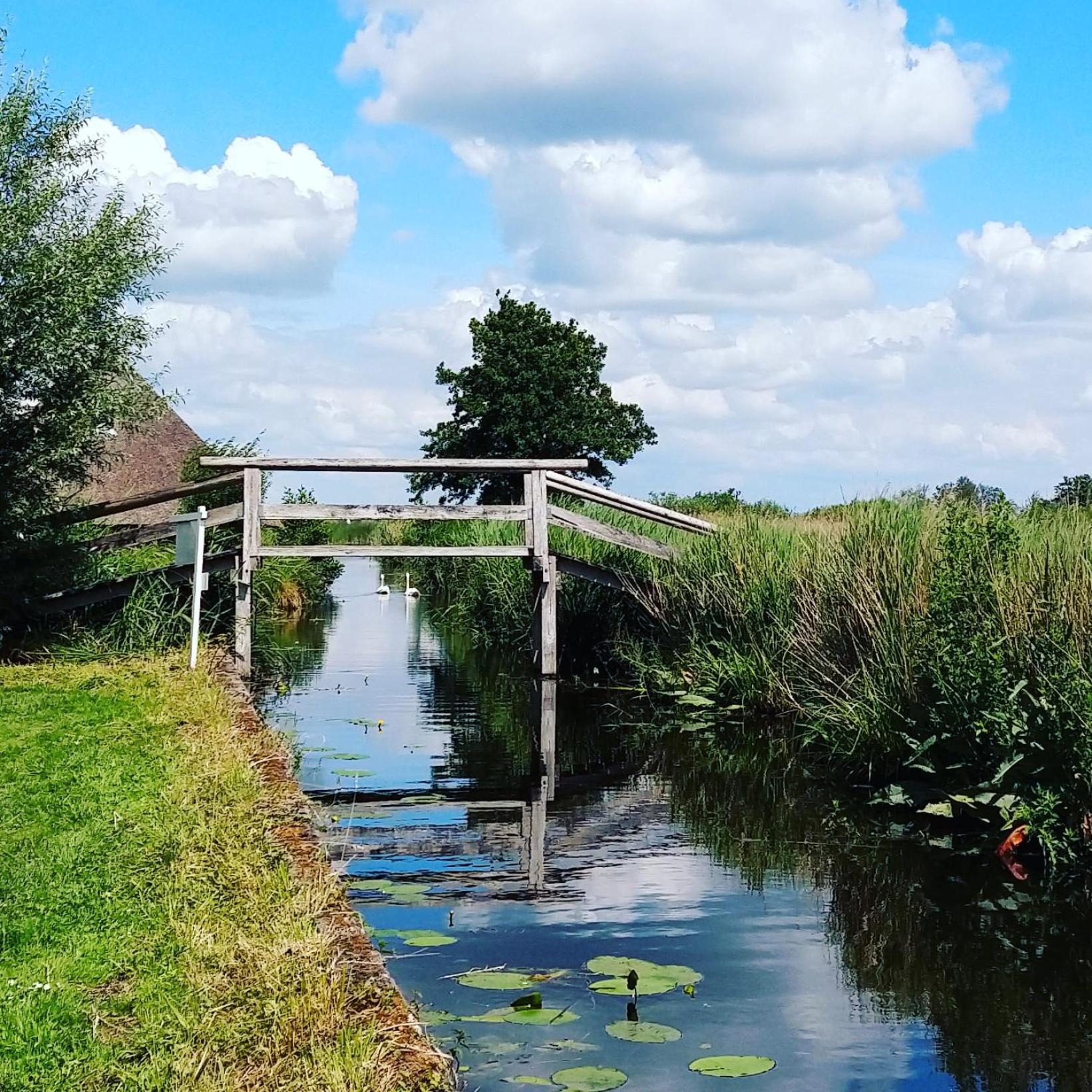 Het Waterhoentje Sint Jansklooster 外观 照片